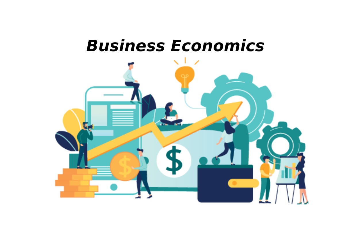 case study of business economics